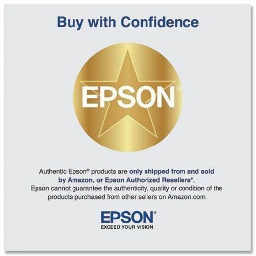 Epson UltraChrome PRO 770 Original Inkjet Ink Cartridge - Matte Black Pack — T770820