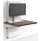 Ergotron WorkFit Elevate Single HD Monitor Kit — 98-449-030
