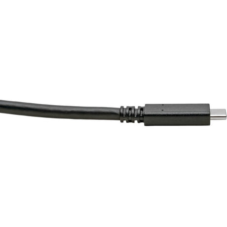 Eaton Tripp Lite Series USB-C Cable (M/M) - USB 3.2, Gen 1 (5 Gbps), Thunderbolt 3 Compatible, 6 ft. (1.83 m) — U420-006
