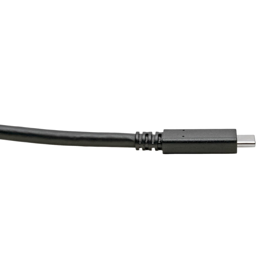 Eaton Tripp Lite Series USB-C Cable (M/M) - USB 3.2, Gen 1 (5 Gbps), Thunderbolt 3 Compatible, 6 ft. (1.83 m) — U420-006