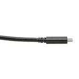 Eaton Tripp Lite Series USB-C Cable (M/M) - USB 3.2, Gen 1 (5 Gbps), Thunderbolt 3 Compatible, 6 ft. (1.83 m) — U420-006