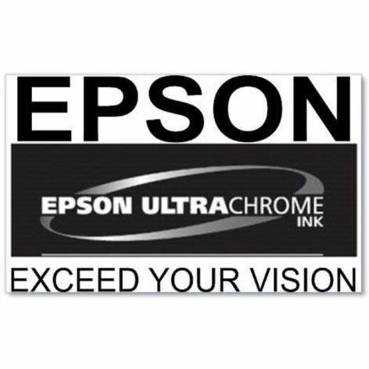 Epson UltraChrome PRO 770 Original Inkjet Ink Cartridge - Photo Black Pack — T770120