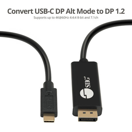 SIIG USB-C to DisplayPort Active Cable 4K 60Hz HDR - 2M — CB-TC0K11-S1