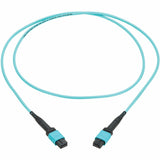 Eaton Tripp Lite Series 100G Multimode 50/125 OM4 Fiber Optic Cable (12F MPO/MPO-PC F/F), Type-A Polarity, OFNP, Aqua, 1 m (3.3 ft.), TAA — N845A-01M-12TAA