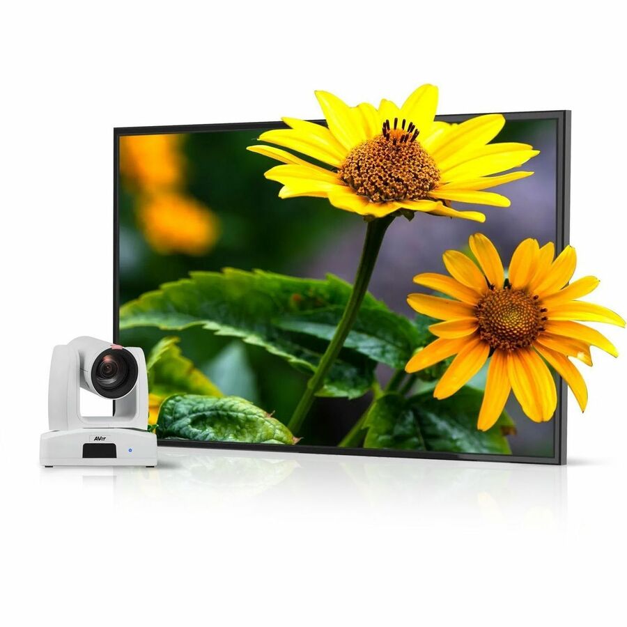AVer Ptz211 2 Megapixel Indoor Full HD Network Camera - Color - TAA Compliant — PAPTZ211W