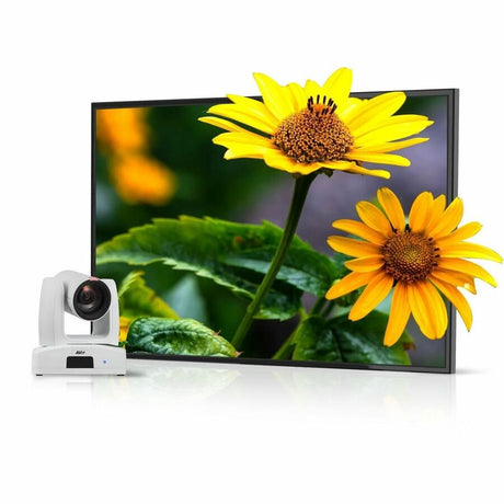 AVer Ptz211 2 Megapixel Indoor Full HD Network Camera - Color - TAA Compliant — PAPTZ211W