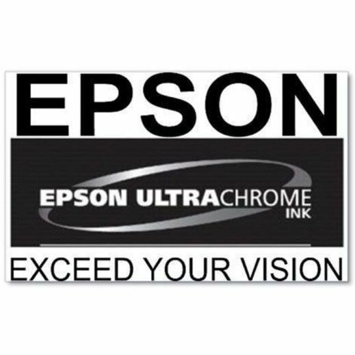 Epson UltraChrome PRO 770 Original Inkjet Ink Cartridge - Vivid Magenta Pack — T770320