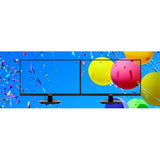 Asus VA24DQ 24" Class Full HD LCD Monitor - 16:9 - Black — VA24DQ