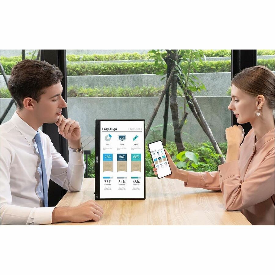 Asus ZenScreen MQ16AHE 16" Class Full HD OLED Monitor - 16:9 — MQ16AHE