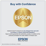 Epson UltraChrome PRO T49A Original High Yield Inkjet Ink Cartridge - Gray - 1 Pack — T49AE20