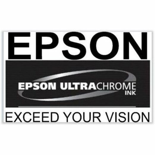 Epson UltraChrome PRO 770 Original Inkjet Ink Cartridge - Light Gray Pack — T770920