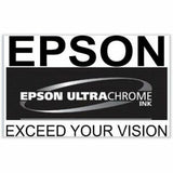 Epson UltraChrome PRO 770 Original Inkjet Ink Cartridge - Light Gray Pack — T770920