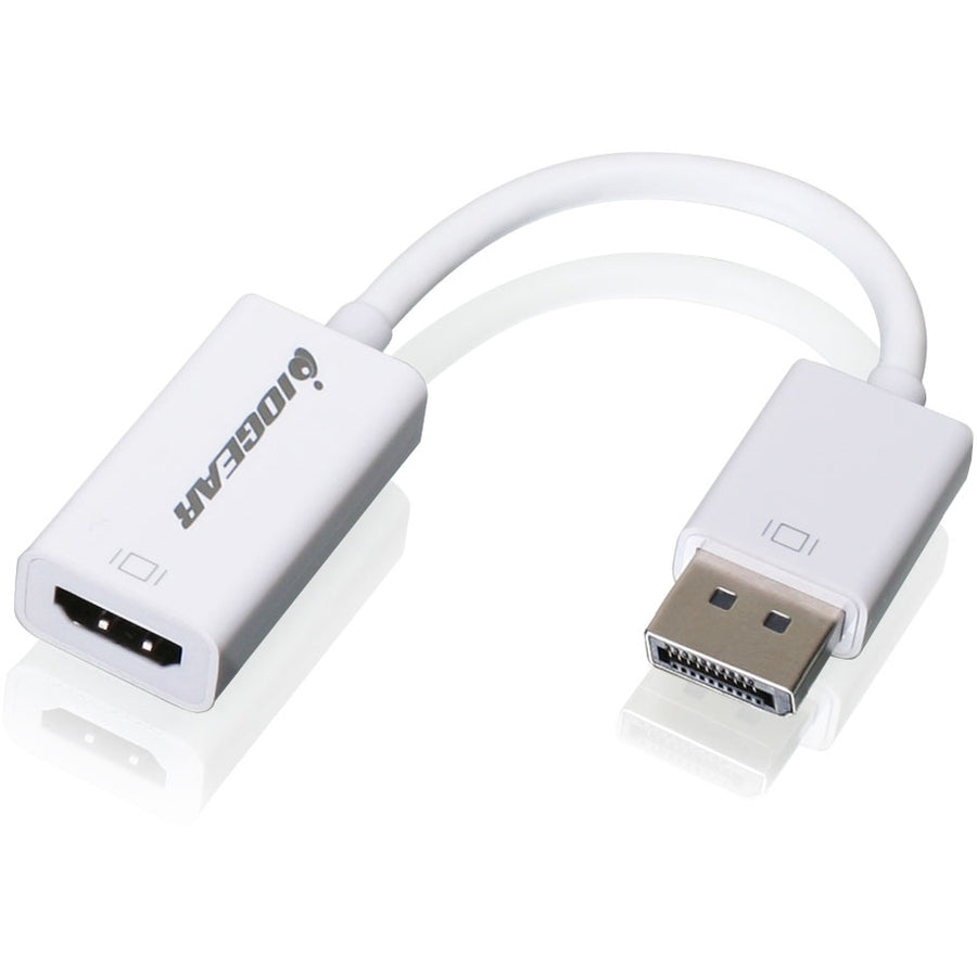 IOGEAR DisplayPort to HD Adapter — GDPHDW6
