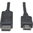 Eaton Tripp Lite Series DisplayPort to HDMI Adapter Cable (M/M), 25 ft. (7.6 m), TAA — P582-025