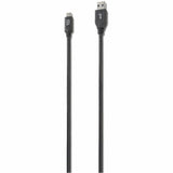 iStore USB-C to USB-A Cable — ACC926CAI