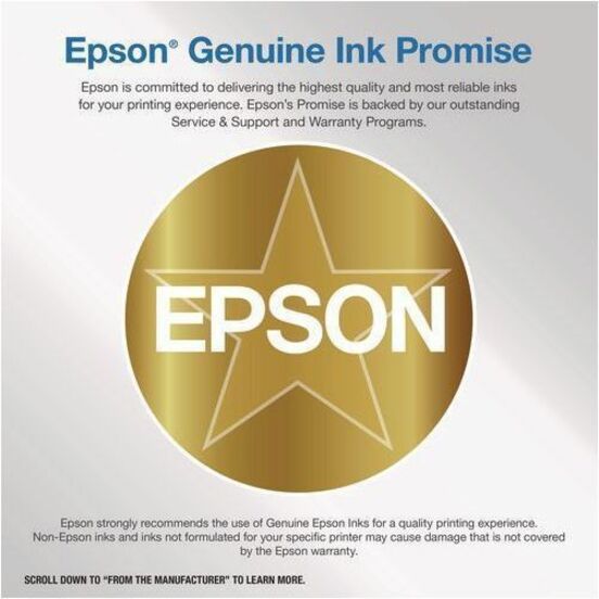 Epson Original Inkjet Ink Cartridge - Light Cyan Pack — T890520