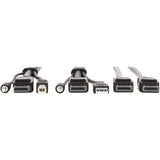 Eaton Tripp Lite Series Dual DisplayPort KVM Cable Kit - DP, USB, 3.5 mm Audio (3xM/3xM) + DP (M/M), 4K, 4:4:4, 10 ft. (3.05 m), Black — P783-010-DP