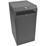 Eaton Tripp Lite Series SmartRack 16U Low-Profile Vertical-Mount Wall-Mount Half-Height Server Rack Enclosure — SRWF16U38