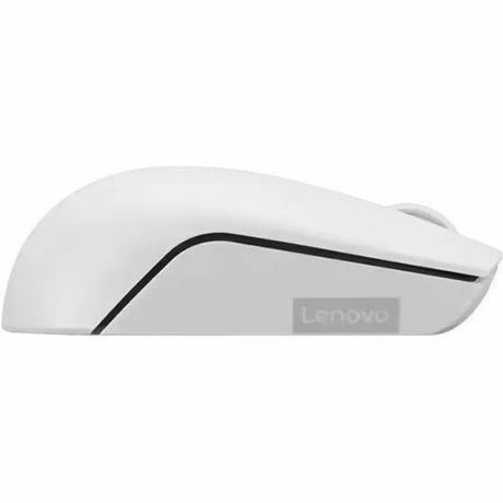 Lenovo 300 Wireless Compact Mouse (Cloud Grey) with Battery — GY51L15677