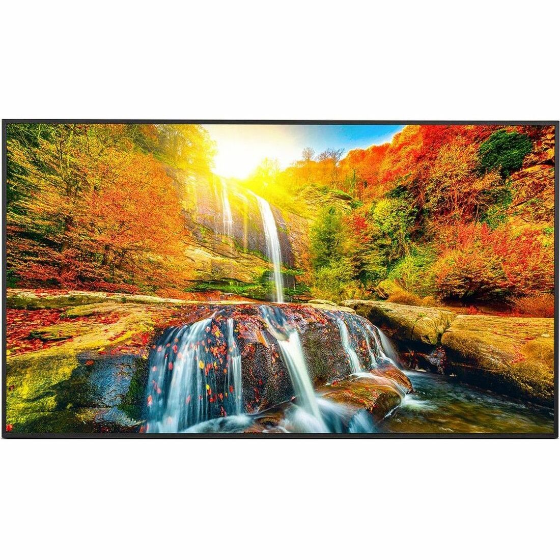 Sharp PNME552 55" Ultra High-Definition Commercial Display — PN-ME552