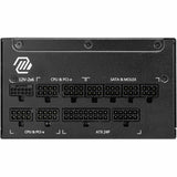 MSI MAG 1250W Power Supply — MAGA1250GLPCIE5