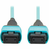 Eaton Tripp Lite Series 100G Multimode 50/125 OM4 Fiber Optic Cable (12F MPO/MPO-PC F/F), Type-B Polarity, OFNP, Aqua, 10 m (32.8 ft.), TAA — N845B-10M-12TAA