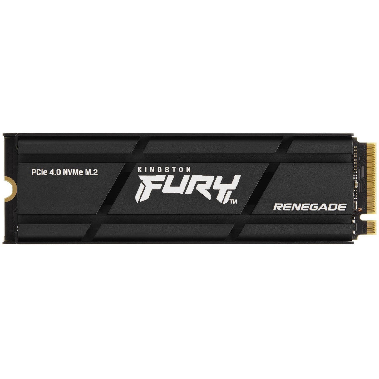 Kingston FURY Renegade 1 TB Solid State Drive - M.2 2280 Internal - PCI Express NVMe (PCI Express NVMe 4.0 x4) — SFYRSK/1000G