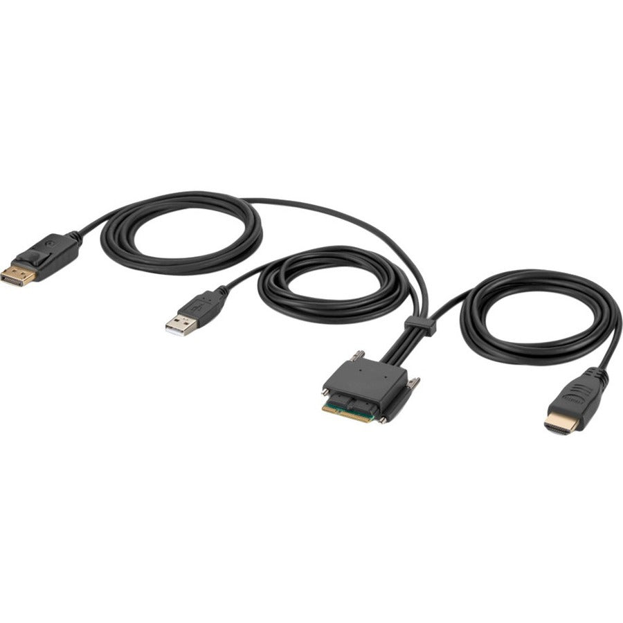 Belkin Modular HDMI and DP Dual-Head Host Cable 6 ft. — F1DN2MOD-HC-HP6