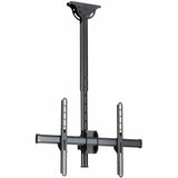 StarTech.com TV Ceiling Mount, Full-Motion Hanging Single Screen Vesa Mount for 32"-75" TVs / Displays - Height Adjustable Telescopic Pole — FPCEILPTBSP