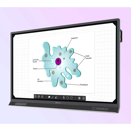ViewSonic ViewBoard IFP6552-E1 - 4K Interactive Display with WiFi Adapter and Fixed Wall Mount - 400 cd/m2 - 65" — IFP6552