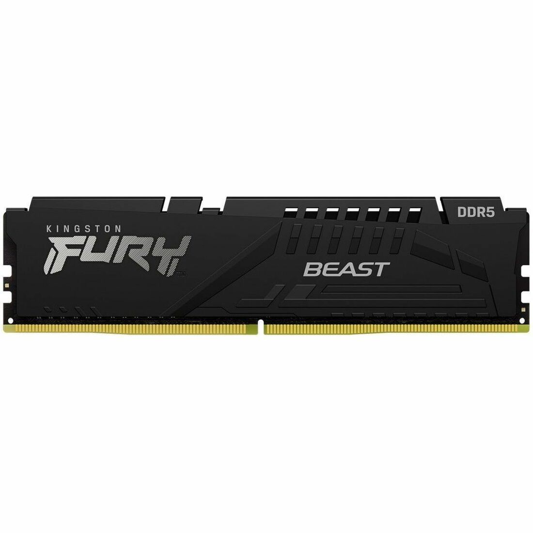 Kingston FURY Beast 16GB DDR5 SDRAM Memory Module — KF560C36BBE2-16
