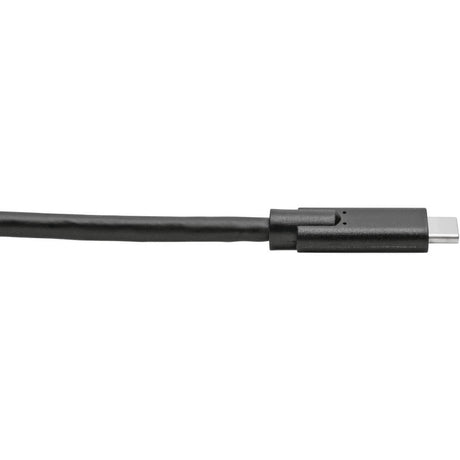 Eaton Tripp Lite Series USB-C Cable (M/M) - USB 3.2, Gen 1 (5 Gbps), Thunderbolt 3 Compatible, 10 ft. (3.05 m) — U420-010