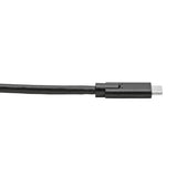 Eaton Tripp Lite Series USB-C Cable (M/M) - USB 3.2, Gen 1 (5 Gbps), Thunderbolt 3 Compatible, 10 ft. (3.05 m) — U420-010
