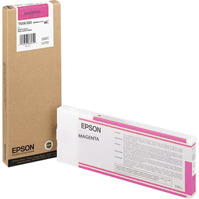 Epson Original Ink Cartridge — T606300