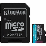 Kingston Canvas Go! Plus 256 GB Class 10/UHS-I (U3) V30 microSDXC — SDCG4/256GB