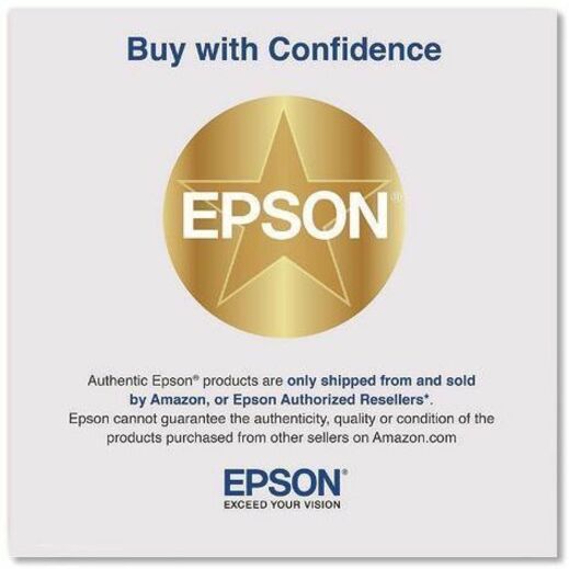 Epson Transparency Unit for 12000XL/13000XL Scanners — B12B819221