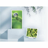 Sharp EP-C251 Digital Signage Display — EP-C251
