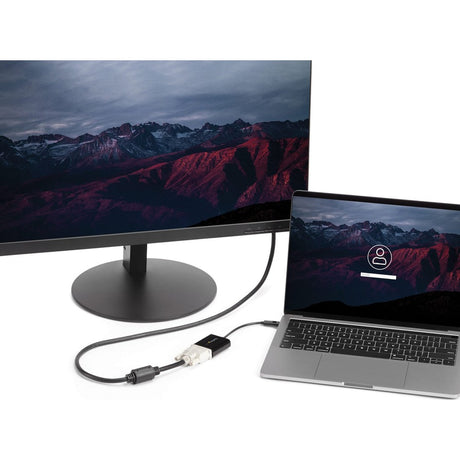 StarTech.com USB C to DVI Adapter - Thunderbolt 3 Compatible - 1920x1200 - USB-C to DVI Adapter for USB-C devices such as your 2018 iPad Pro - DVI-I Converter — CDP2DVI