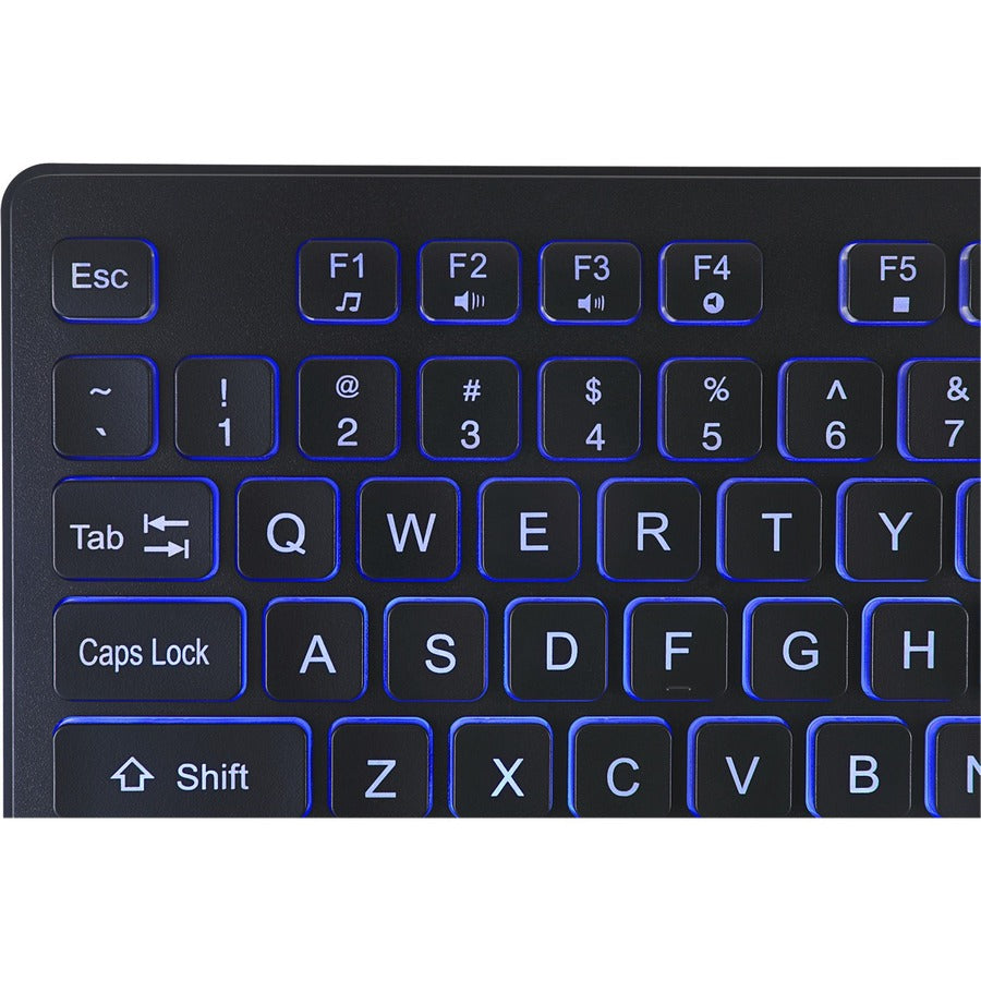 Adesso Large Print Illuminated Desktop Keyboard — AKB-139EB