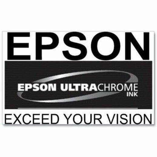 Epson UltraChrome PRO 770 Original Inkjet Ink Cartridge - Violet Pack — T770020
