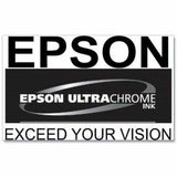 Epson UltraChrome PRO 770 Original Inkjet Ink Cartridge - Violet Pack — T770020