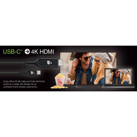 IOGEAR USB-C to 4K HDMI 6.6 Ft. (2m) Cable — G2LU3CHD02