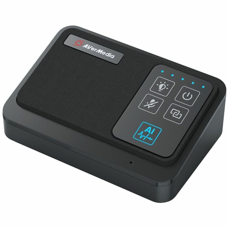 AVerMedia Wireless Expansion Microphone Kit — AW111