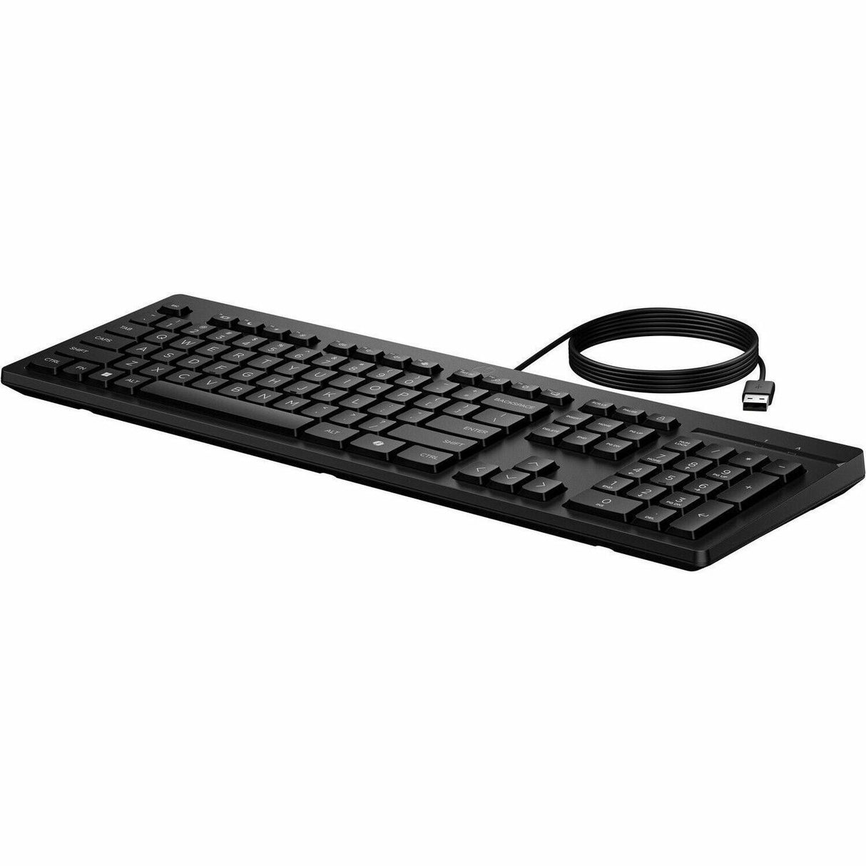 HP 125 Wired Keyboard (AY2Y7AA) — AY2Y7AA#ABA