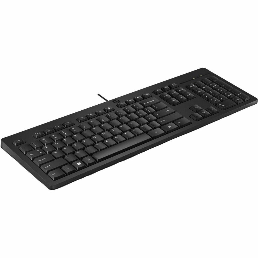 HP 125 Wired Keyboard (AY2Y7AA) — AY2Y7AA#ABA