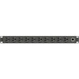 Vertiv Geist Basic Rack PDU - Data Center PDU - (10) NEMA 5-15R| NEMA 5-15P rPDU — VP9562