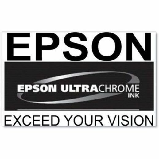 Epson UltraChrome PRO 770 Original Inkjet Ink Cartridge - Gray Pack — T770720