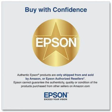 Epson UltraChrome PRO 770 Original Inkjet Ink Cartridge - Gray Pack — T770720