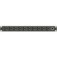 Vertiv Geist Basic Rack PDU - Data Center PDU - (10) NEMA 5-20R| NEMA 5-20P rPDU — VP9563