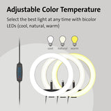Kensington L1000 Bicolour Ring Light with Webcam Mount — K87653WW